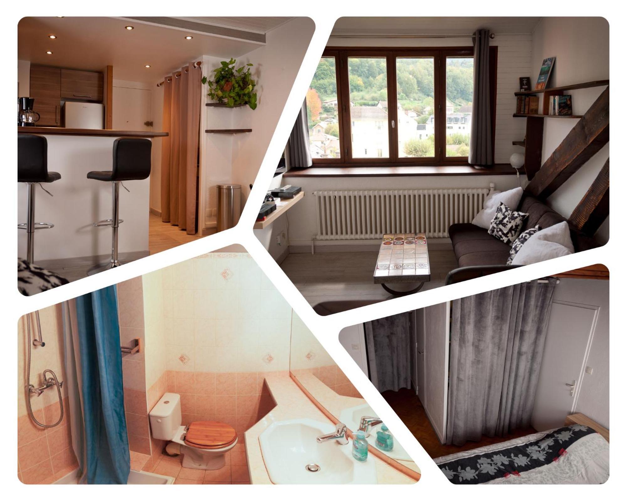 Le T2 Douillet D'uriage - Le Louvre - Cure Thermale Uriage- Proche Chamrousse - Jusqu'a 3 Personnes - Region Agreable En Toute Saison Apartment Vaulnaveys-le-Haut